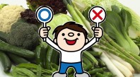 硝酸態窒素の多い野菜と少ない野菜